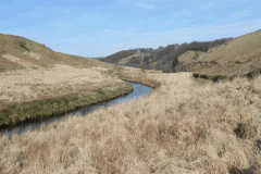 16. Upstream from Flexbarrow