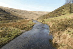 26. Looking upstream from Wheal Elisa Bridge
