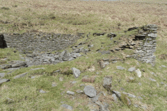 33. Wheal Elisa Cottage Ruins