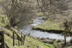 35. Downstream from Wheal Elisa