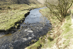 37. Downstream from Wheal Elisa