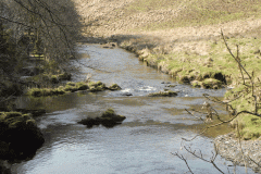 40. Upstream from Great Woolcombe