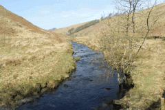41. Upstream from Great Woolcombe