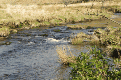 42. Upstream from Great Woolcombe