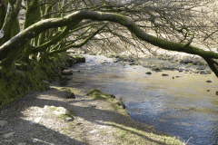 43. Upstream from Great Woolcombe