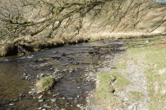 45. Downstream from Great Woolcombe