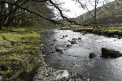 46. Downstream from Great Woolcombe