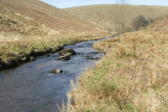 48. Downstream from Great Woolcombe