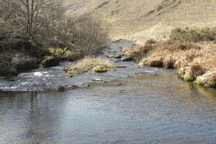51. Flowing past Cow Castle