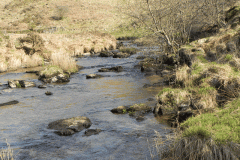 52. Flowing past Cow Castle