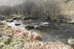 53. Flowing past Cow Castle