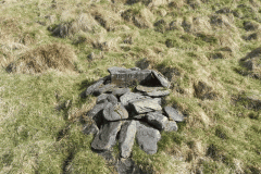 54. Memorial to Buster near Cow Castle