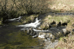 55. Waterfall below Cow Castle