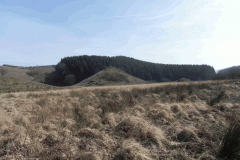 56. Mound near Cow Castle