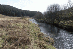 57. Flowing past Cow Castle
