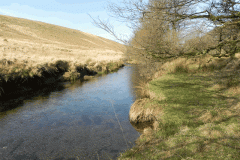 6. Downstream from Simonsbath