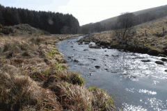 60. Looking downstream to White Water join