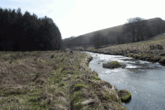 61. Looking downstream to White Water join