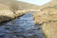 63. Looking upstream from ROW Bridge No.3390