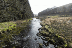 67. Looking downstream from ROW Bridge No.3390