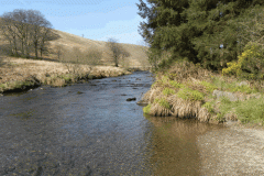 69. Looking upstream to ROW Bridge No.3390