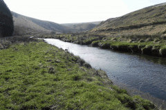 7. Downstream from Simonsbath