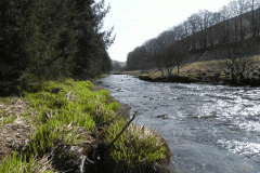 70. Looking downstream from Ford below White Water Join