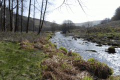 72. Downstream from White Water Join