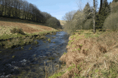 73. Downstream from White Water Join