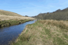 8. Downstream from Simonsbath