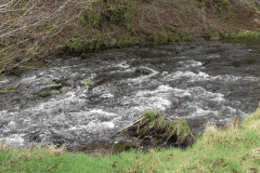 1. Downstream from Slades bridge