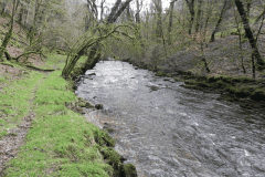 10. Flowing past West Hollowcombe Wood