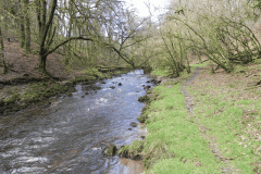 11. Flowing past West Hollowcombe Wood