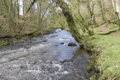 12. Flowing past West Hollowcombe Wood