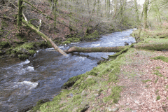 18. Flowing past West Hollowcombe Wood