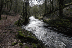 19. Flowing past West Hollowcombe Wood