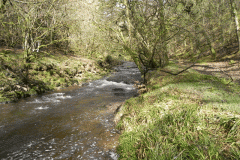 23. Flowing past West Hollowcombe Wood