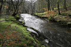 25. Flowing past Yamson Coppice