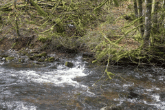 30. Waters join from Yamson Combe