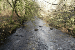 31. Looking upstream from Venford Bridge