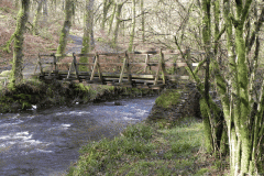 31. Upstream from Venford Bridge