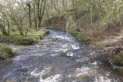 36. Looking downstream from Venford Bridge