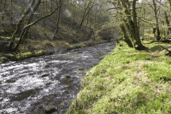 37. Downstream from Venford Bridge