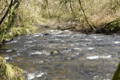 39. Downstream from Venford Bridge