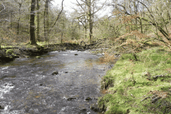 40. Downstream from Venford Bridge
