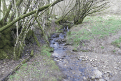8. Waters join from Hollowcombe
