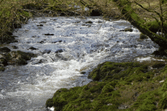 9. Flowing past West Hollowcombe Wood