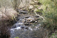 50. Flowing through Combepark