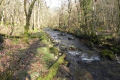 51. Flowing through Combepark