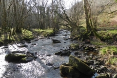 56. Flowing through Combepark